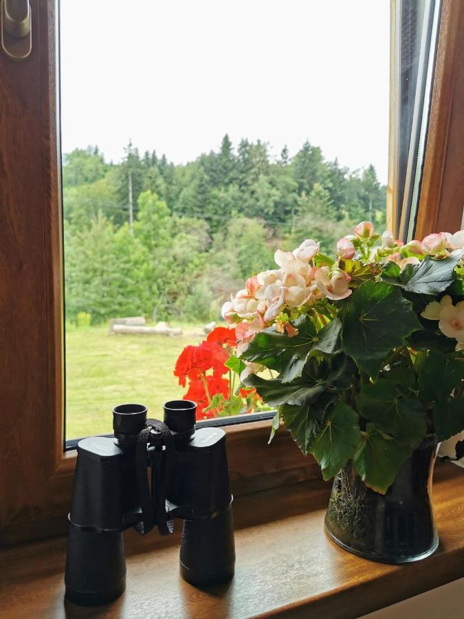 Wies Odnowa Łabowa Buitenkant foto