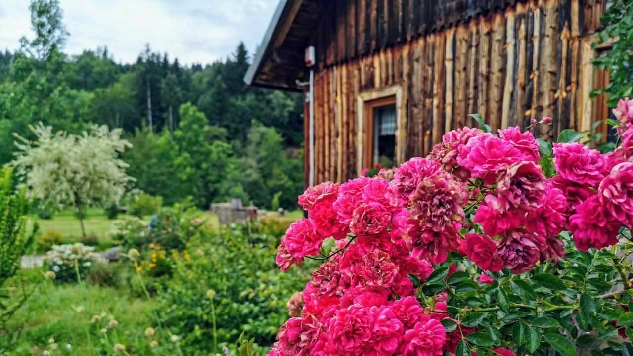 Wies Odnowa Łabowa Buitenkant foto