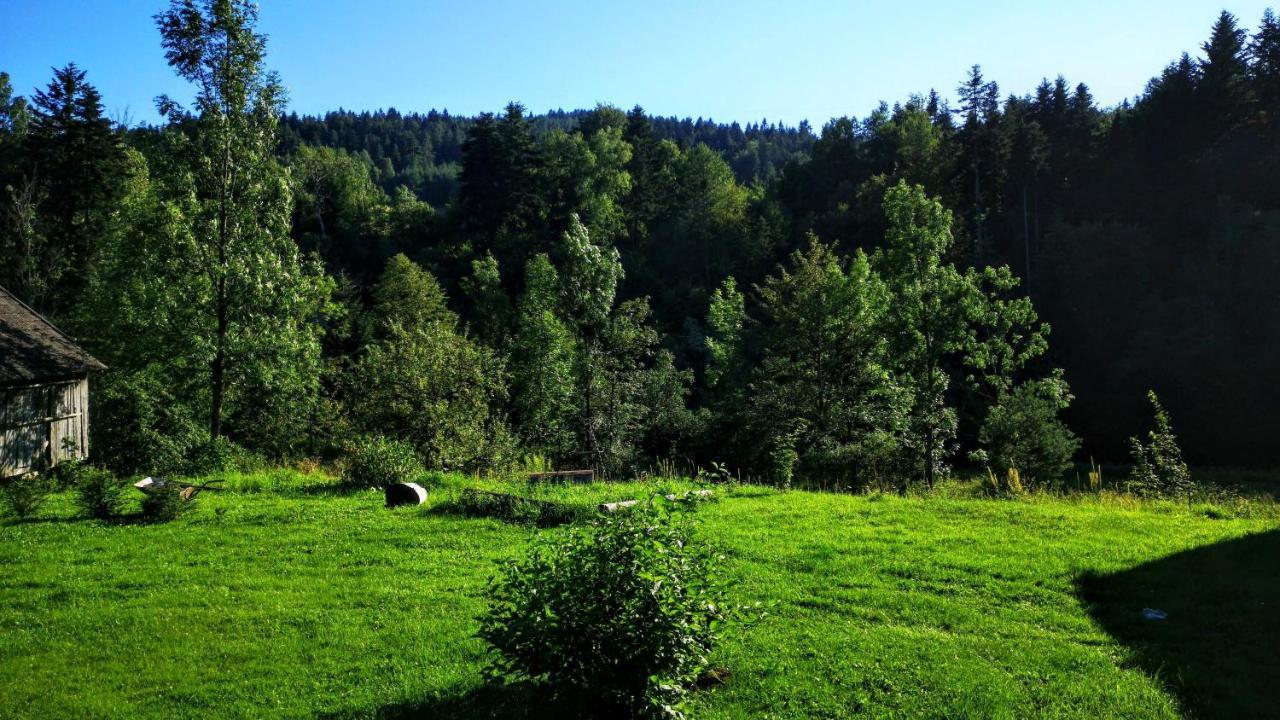 Wies Odnowa Łabowa Buitenkant foto