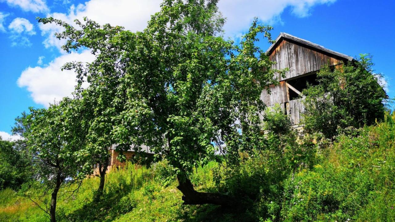 Wies Odnowa Łabowa Buitenkant foto